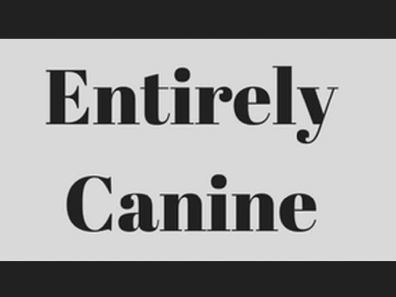 The Entirely Canine wordmark